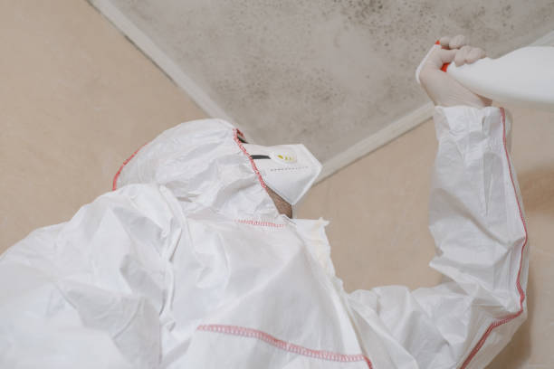 Best Kitchen Mold Remediation in Dennison, OH