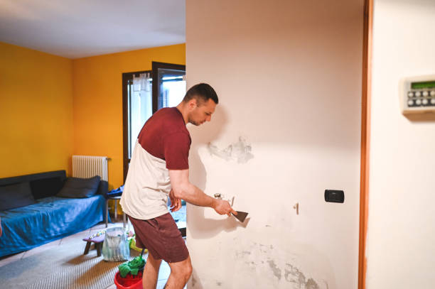 Best Residential Mold Remediation in Dennison, OH